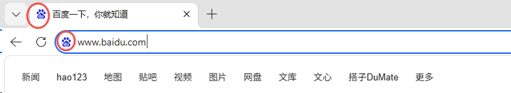 浏览器标签页与地址栏中网站图标（红圈）示意